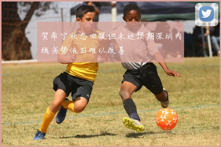 贺希宁状态回暖但未达预期深圳内线劣势依旧难以改善