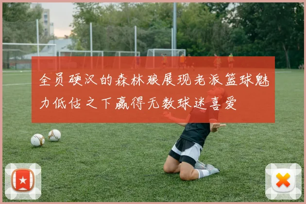 全员硬汉的森林狼展现老派篮球魅力低估之下赢得无数球迷喜爱