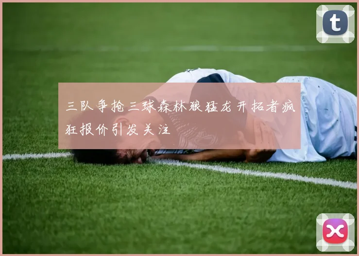 三队争抢三球森林狼猛龙开拓者疯狂报价引发关注