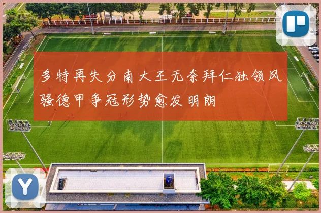 多特再失分南大王无奈拜仁独领风骚德甲争冠形势愈发明朗