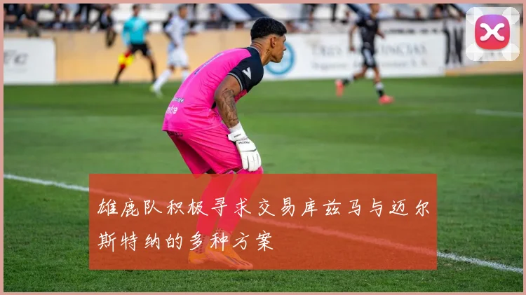 雄鹿队积极寻求交易库兹马与迈尔斯特纳的多种方案