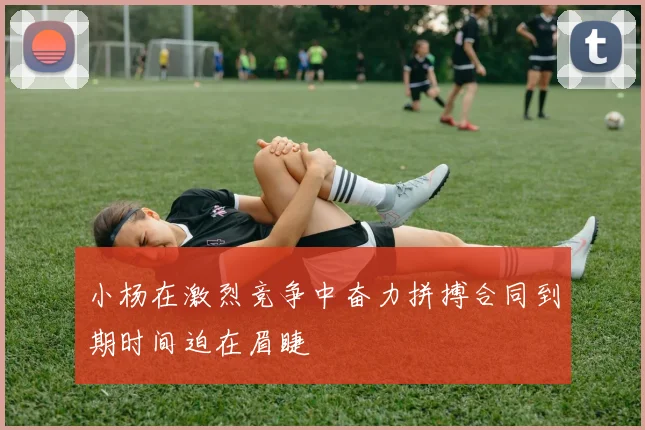 小杨在激烈竞争中奋力拼搏合同到期时间迫在眉睫